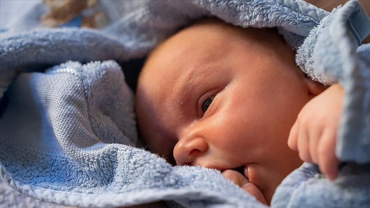 Kısırlık tedavisinde yeni dönem: Yapay zeka sperm buluyor
